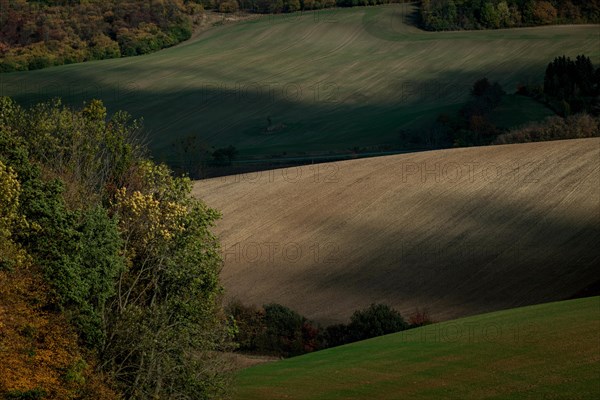 A beautiful shadow play in the undulating fields of Czech Moravia