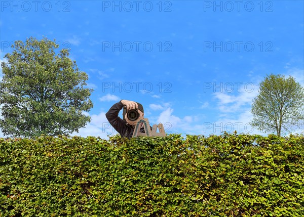 Paparazzi behind a hedge