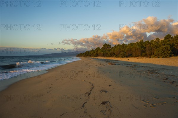 Lonely wild beach