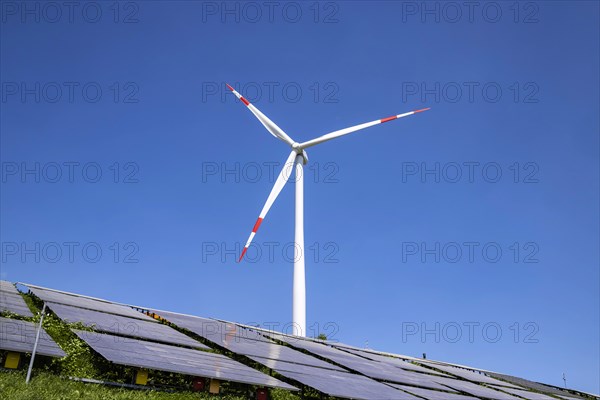 Wind turbine and solar collectors