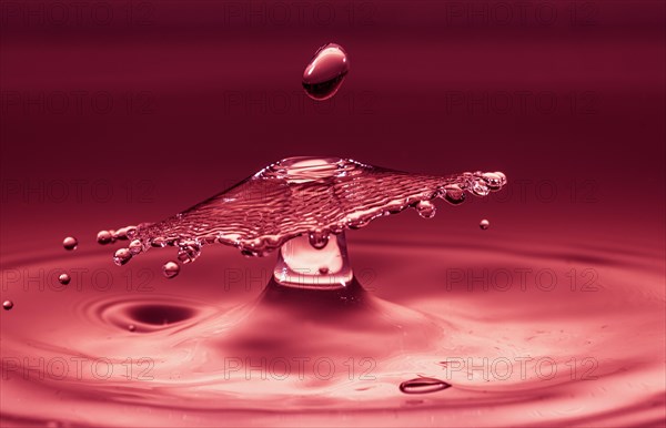 Macro Photography Water Drops