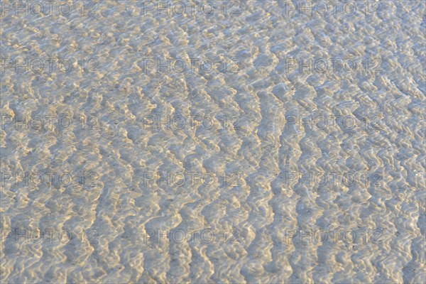 Small waves on the sandy beach with light reflections