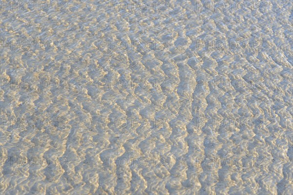 Small waves on the sandy beach with light reflections