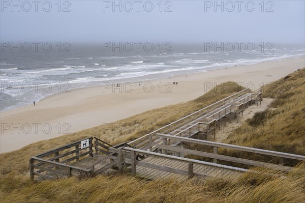 Wooden footbridge through the dunes to the beach