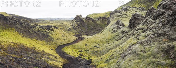 Moss-covered volcanic landscape