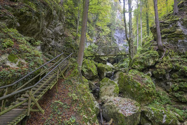 Climbing installation in the Kesselfallklamm