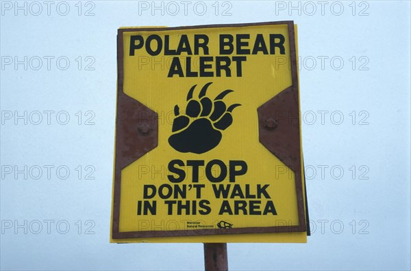 Polar Bear Warning Sign