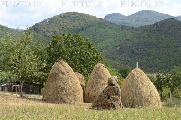 Haystack