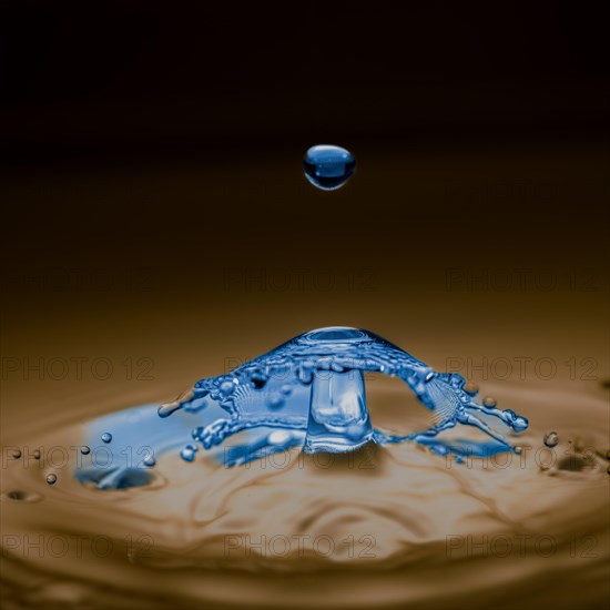 Macro Photography Water Drops