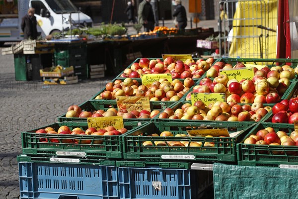 Apples with price tags at a market stall