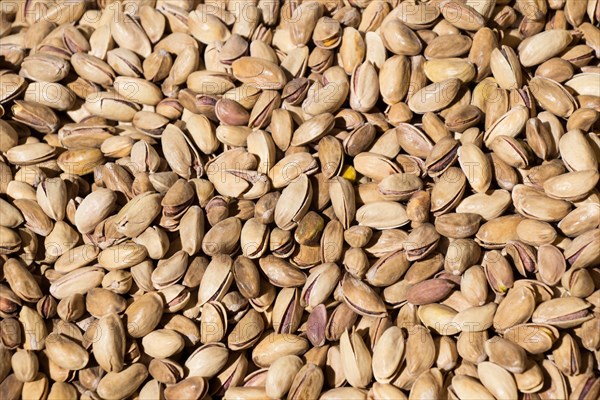 Pistachio nuts with shell ready to eat