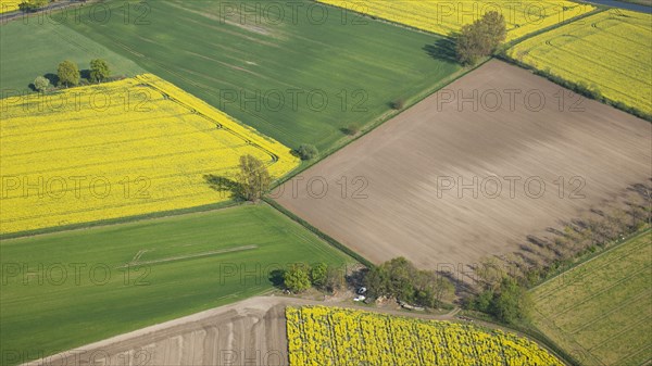 Aerial view of agricultural landscape in spring