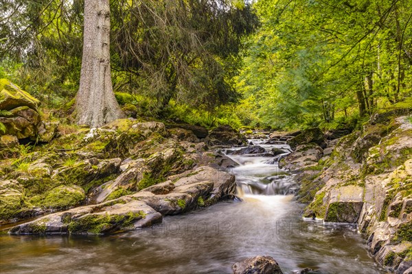 The upper reaches of the Rur