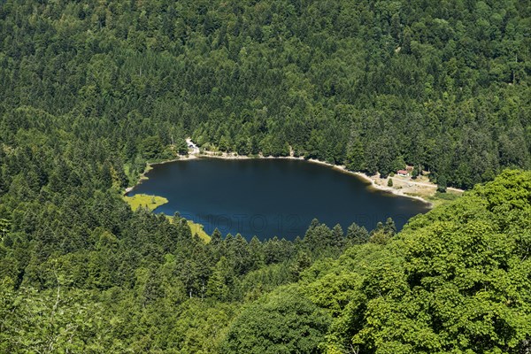 Mountain lake in summer