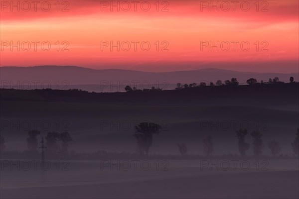 Beautiful Moravian fields with avenues of trees shrouded in morning fog. Czech republic