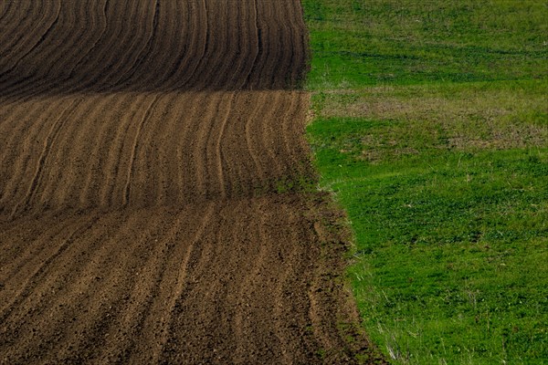Moravian landscapes of wavy fields with a wealth of colors. Czech republic