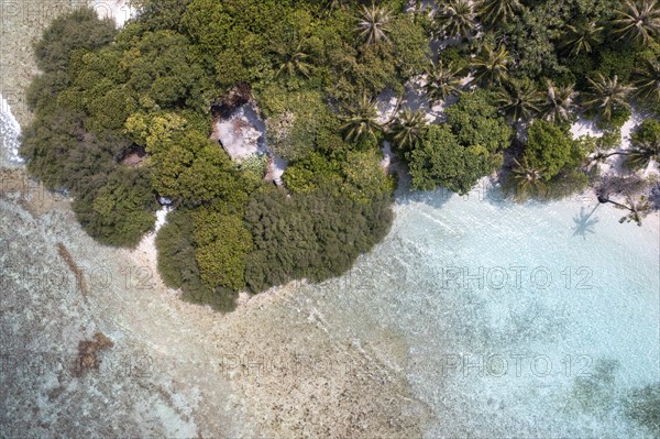 Aerial view: lonely Island with a sandbank and Palmtrees in the Maldives