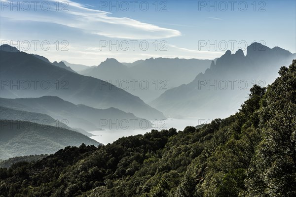 View from Monte Senino