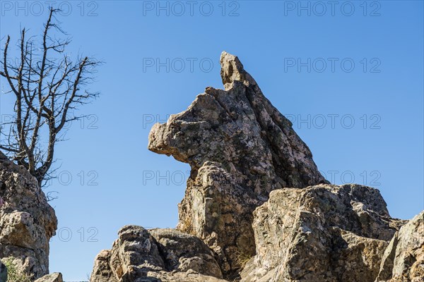 Red granite rocks