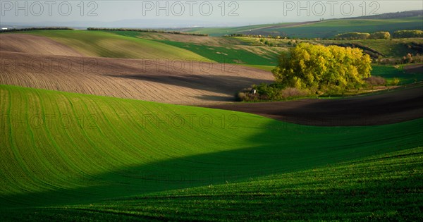 Wonderful landscapes of autumn Moravian fields in the golden hour. Czech Republic