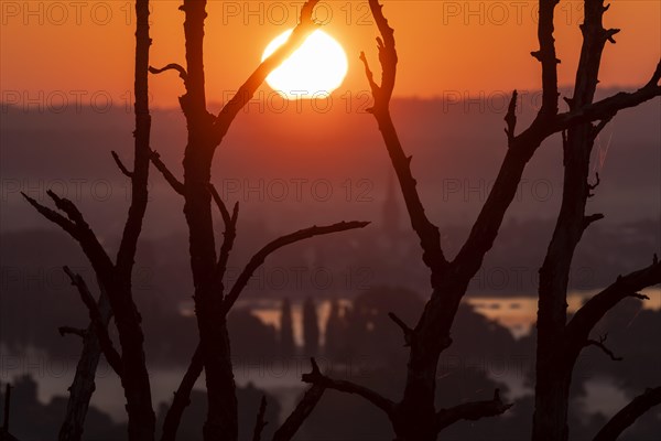 Sunrise on Lake Constance