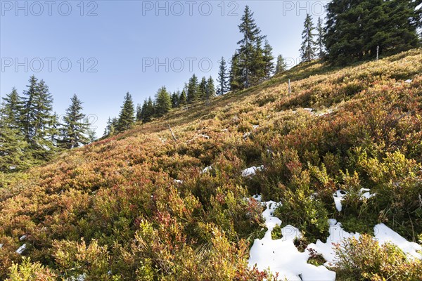 Kitzbuehel Alps