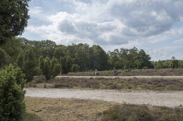 Buurserzand Nature Reserve