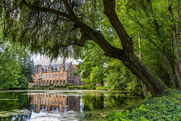 Reflection of Paffendorf Castle in the castle park pond