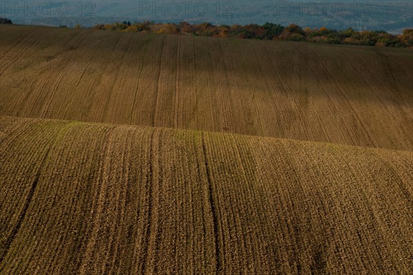 Moravian landscapes of wavy fields with a wealth of colors. Czech republic