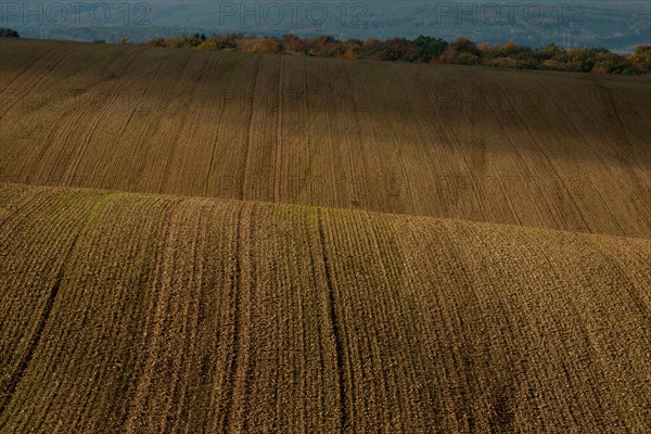 Moravian landscapes of wavy fields with a wealth of colors. Czech republic