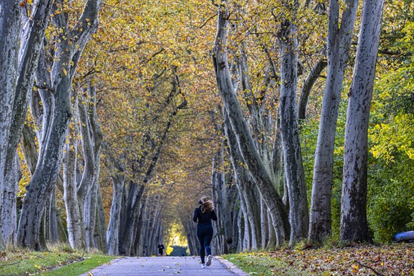 Autumn in the Lower Palace Garden