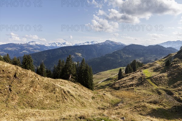 Alpbachtal