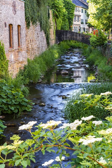 The River Erft in Bad Muenstereifel