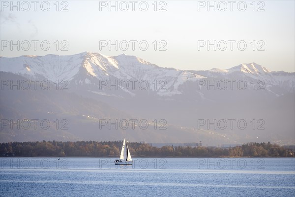 Sailboat on Lake Constance in the evening light