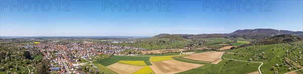 Orchard meadow at the foot of the Swabian Alb near Weilheim an der Teck