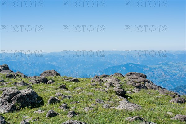 Green pasture in mountains during summer as nature background