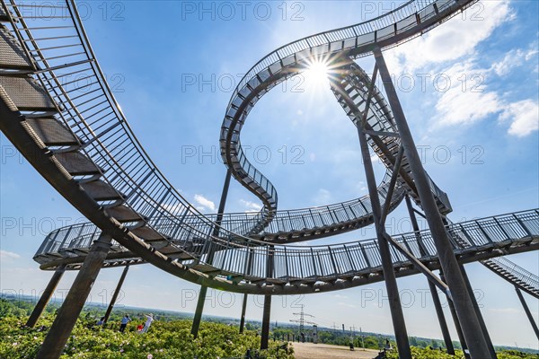 Sculpture Tiger and Turtle