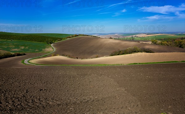 Moravian landscapes of wavy fields with a wealth of colors. Czech republic