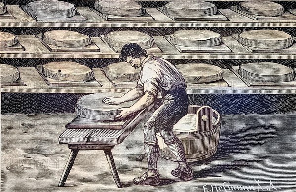 Cheese making