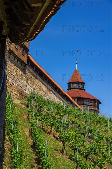 Witnesses to the medieval town fortifications