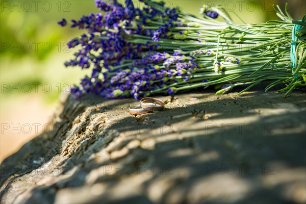 A bunch of lavender lying on a stone with rings wedding lying next to it. Lavender field in Poland