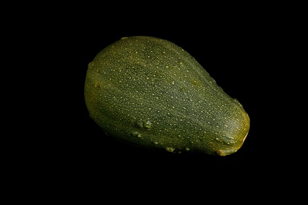 Colorful pumpkin on a black background. In studio