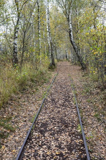 Autumn in the Kendlmuehlfilzen high moor