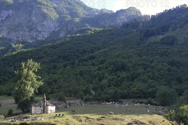 Small mosque and cemetery