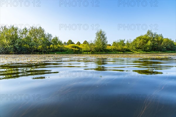 The river Lippe in the Hellinghauser Mersch nature reserve