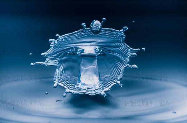 Macro Photography Water Drops