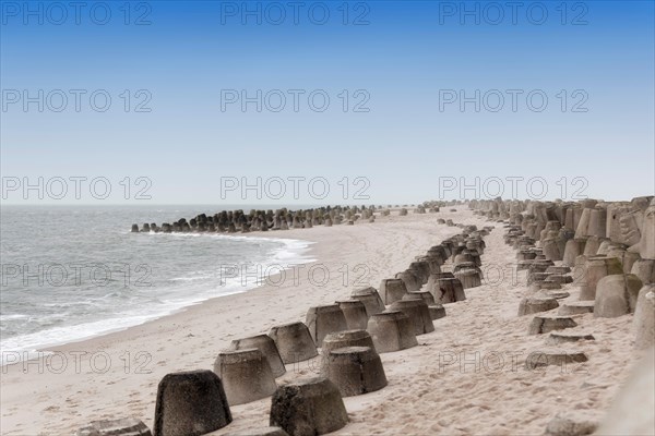 Tetrapods