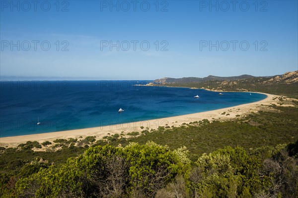 Sandy beach beach