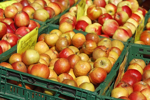 Apples with price tags at a market stall
