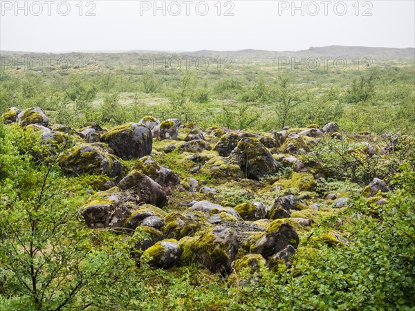 Lonely rain-soaked landscape